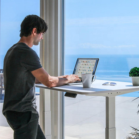Buy Height Adjustable Table For Ergonomic Electric Smart Standing Desk ...
