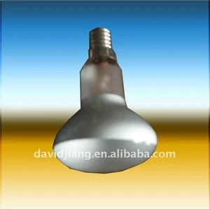 High pressure mercury reflector fluorescent bulb
