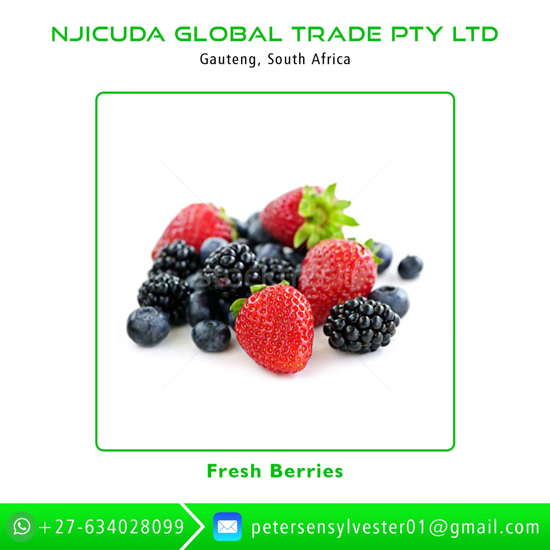 High Quality 100% Pure Natural Fresh Berries