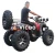 Import High Quality Adults Sports Quad ATV from China
