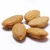 Import High Quality Big Size Nutritious Almonds from South Africa