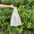 Import High-Quality Bio Bag Degradable T-Shirt Compostable Bag from China