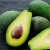 Import High Quality Farm Fresh Avocado From South Africa from South Africa