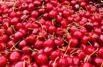 High Quality Fresh Cherries for Importers.