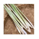 High Quality Lemongrass Cheap Price - Spices and Herbs Lemon Grass Export to EU USA Japan from Vietnam Supplier
