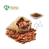 High Quality Natural Cocoa Powder with Good Price