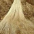 Import High Quality Raw Jute Supplier from Bangladesh from Bangladesh