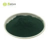 High Quality Seaweed Extract Powder Fertilizer