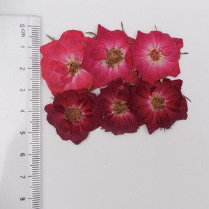 High Quality Various Combination Packages Natural Dried Pressed Flowers