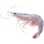 Import Hot sale factory direct price good quality vannamei shrimp manufactured in China from China