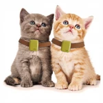 Hot Sale Mini GPS Pet Tracker Chip Accessories Tracking Device GPS Dog Collar For Dogs or Cat