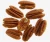 Import Hot Sale Pecan Nuts/Pecan Nuts from Philippines