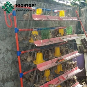hot sale quail breeding cages for laying hen