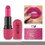 Import hot sale wholesale waterproof long lasting good quality multi color new private label durable lipstick from China