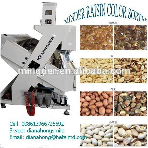 Hot-Selling Belt Corn Color Sorter, Belt peanut Color Sorting machine for Ground Nut