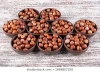hot wholesales filbert nuts or hazelnut snack Great Price