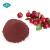 Import Immune Support Herbal Extract Proanthocyanidins 25% Cranberry Powder from China