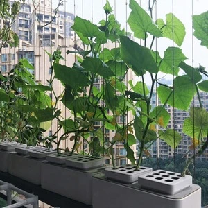 innovative product patent hydroponic plants