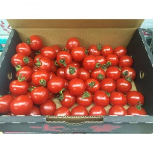 Japan fresh tomatoes fruit and vegetable prices for sale
