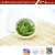 Import Japan frozen seaweed salad manufacturer Frozen seaweed Salad 1kg from China