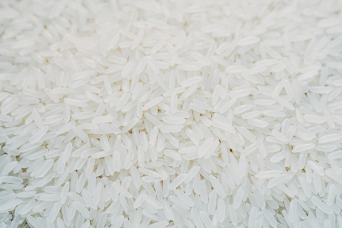 Buy Jasmine Rice Price New Crop Variety Soft Texture Sortexed 5% Broken ...