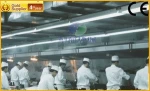 Kitchen Smoke Purification Range Hood