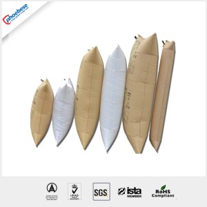 Kraft Paper Self Inflating Recycle Container Air Dunnage Bag