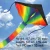 Import Large Rainbow Delta Kite Easy to Assemble, Launch, Fly - Premium Quality, Great for Beach Use - The Best Kite for Everyone from China