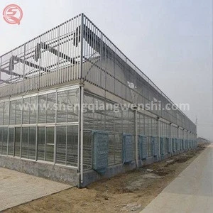 Large vegetable production greenhouse polycarbonate sheet roof