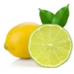 Lemon and lime for sale
