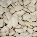 Lima Beans cheap price