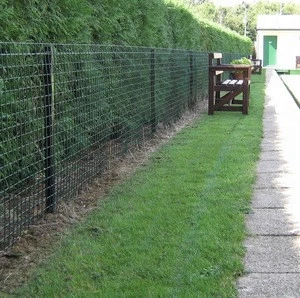 low price 868 double wire mesh fence