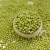 Import Lowest price new crop Green Mung Bean of different size. from South Africa
