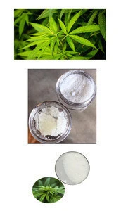 White Powder Herbal Extract 10% water soluble CBD