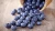 Import Mexico Grown Fresh Fruit BLUEBERRIES Robinson Fresh MOQ 1 PINT Quick Delivery in US from USA