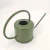 Import Modern Design Metal Decorative Round Shape Garden Pot Metal Long Neck Nozzle Watering Can from China