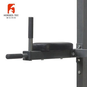 Multi functional trainer free standing pull up bar dip station