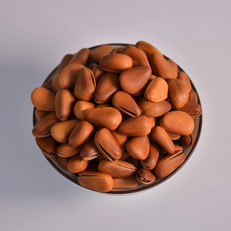 Natural wild fresh pine nuts with shell hot sale