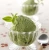 Import Naturals Organic Matcha 100% Chinese Green Tea Powder from China