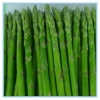New arrival fresh IQF Frozen Green fresh Asparagus