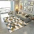 Import new arrival modern machine washable living room carpets and rugs from China
