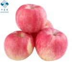 New crop 2020 Delicious Fresh Sugar Fuji Apples