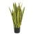 Import New Design Yellow Edge Plastic Plants Flowers Indoor Small Artificial Plant  For Home Ornament from China