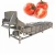 Import New Fresh Fruits Vegetables Automatic Washing And Drying Machine from China