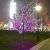 Import Newest real purple centerpiece wedding artificial indoor bonsai cherry blossom tree arches from China