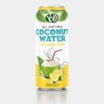 Pure Coconut Water with Fruit Flavours & Pulp in 500ml Canned