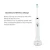 Import Oral Hygiene Ultra High Powered 33600 RPM RechargeableElectricUltrasonicToothbrush Automatic Sonic Electric Toothbrush from China