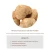 Import organic dried lion &#x27; s mane mushroom 10 : 1 hericium erinaceus extract powder from China