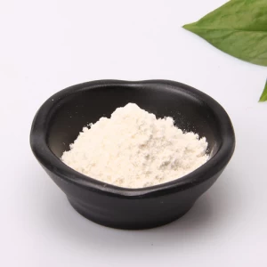 organic monk fruit sweetener Mogroside V Extract Powder