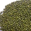 Organic Myanmar Pulses/ Green Gram/ Green mung beans for Sale